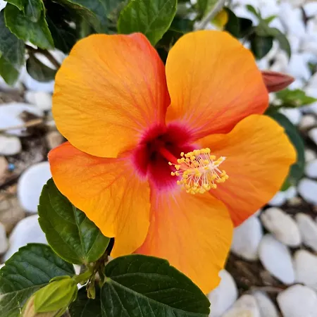 Lägenhet Casa Veintiuno En Mealindy