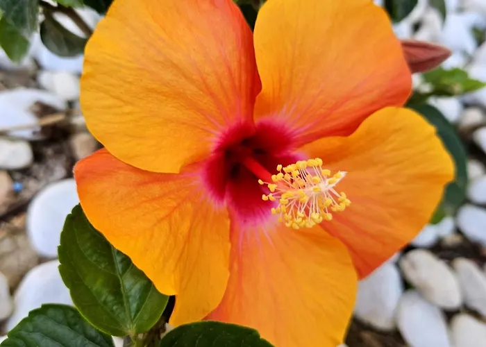 Apartment Casa Veintiuno En Mealindy